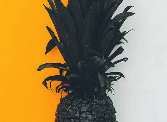 portfolio9